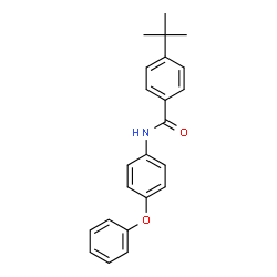 ChemSpider 2D Image | 4-(2-Methyl-2-propanyl)-N-(4-phenoxyphenyl)benzamide | C23H23NO2