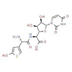 ChemSpider 2D Image | 1-(5-{[(2S)-2-Amino-2-(5-hydroxy-3-thienyl)acetyl]amino}-5-deoxy-beta-D-allofuranuronosyl)-2,4(1H,3H)-pyrimidinedione | C16H18N4O9S