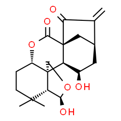 ChemSpider 2D Image | (1S,4S,8R,9R,12S,13S,14R,16R)-9,14-Dihydroxy-7,7-dimethyl-17-methylene-3,10-dioxapentacyclo[14.2.1.0~1,13~.0~4,12~.0~8,12~]nonadecane-2,18-dione | C20H26O6