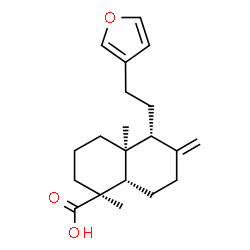ChemSpider 2D Image | (1S,4aS,5R,8aS)-5-[2-(3-Furyl)ethyl]-1,4a-dimethyl-6-methylenedecahydro-1-naphthalenecarboxylic acid | C20H28O3