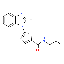 ChemSpider 2D Image | 5-(2-Methyl-1H-benzimidazol-1-yl)-N-propyl-2-thiophenecarboxamide | C16H17N3OS