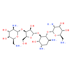 ChemSpider 2D Image | (1R,2R,3S,4S,6S)-4,6-Diamino-2-{[3-O-(2,6-diamino-2,6-dideoxy-alpha-L-idopyranosyl)-alpha-L-lyxofuranosyl]oxy}-3-hydroxycyclohexyl 2,6-diamino-2,6-dideoxy-alpha-D-allopyranoside | C23H46N6O13