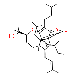 ChemSpider 2D Image | (1R,6S,9R,10S,13S)-6-(2-Hydroxy-2-propanyl)-9-methyl-10-(2-methylbutanoyl)-1,3,13-tris(3-methyl-2-buten-1-yl)-5-oxatricyclo[7.2.2.0~4,10~]tridec-3-ene-2,11-dione | C36H54O5