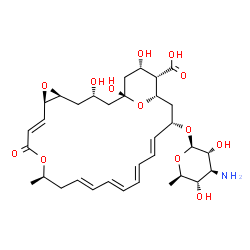 ChemSpider 2D Image | (1R,3S,5S,7R,8E,12R,14E,16E,18E,20E,22S,24S,25S,26S)-22-[(3-Amino-3,6-dideoxy-beta-D-glucopyranosyl)oxy]-1,3,26-trihydroxy-12-methyl-10-oxo-6,11,28-trioxatricyclo[22.3.1.0~5,7~]octacosa-8,14,16,18,20-
pentaene-25-carboxylic acid | C33H47NO13