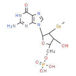 ChemSpider 2D Image | 2-Amino-9-(2-Se-methyl-5-O-phosphono-2-seleno-beta-D-arabinofuranosyl)-1,9-dihydro-6H-purin-6-one | C11H16N5O7PSe