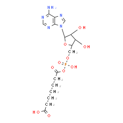 ChemSpider 2D Image | 5'-O-[(S)-[(6-Carboxyhexanoyl)oxy](hydroxy)phosphoryl]adenosine | C17H24N5O10P
