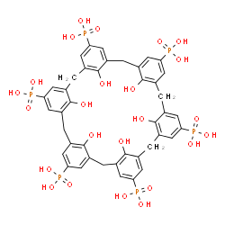 ChemSpider 2D Image | [37,38,39,40,41,42-Hexahydroxyheptacyclo[31.3.1.1~3,7~.1~9,13~.1~15,19~.1~21,25~.1~27,31~]dotetraconta-1(37),3(42),4,6,9(41),10,12,15(40),16,18,21(39),22,24,27(38),28,30,33,35-octadecaene-5,11,17,23,2
9,35-hexayl]hexakis(phosphonic acid) | C42H42O24P6