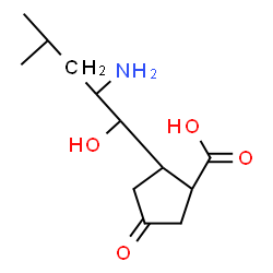 ChemSpider 2D Image | (1R,2R)-2-[(1S,2S)-2-Amino-1-hydroxy-4-methylpentyl]-4-oxocyclopentanecarboxylic acid | C12H21NO4