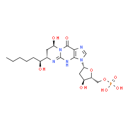 ChemSpider 2D Image | (6S,8R)-3-(2-Deoxy-5-O-phosphono-beta-D-erythro-pentofuranosyl)-8-hydroxy-6-[(1S)-1-hydroxyhexyl]-4,6,7,8-tetrahydropyrimido[1,2-a]purin-10(3H)-one | C19H30N5O9P