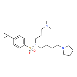 ChemSpider 2D Image | N-[3-(Dimethylamino)propyl]-4-(2-methyl-2-propanyl)-N-[4-(1-pyrrolidinyl)butyl]benzenesulfonamide | C23H41N3O2S