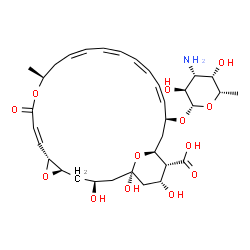 ChemSpider 2D Image | (1R,3S,5R,7R,8Z,12S,14Z,16Z,18Z,20Z,22S,24S,25R,26R)-22-[(3-Amino-3,6-dideoxy-beta-L-galactopyranosyl)oxy]-1,3,26-trihydroxy-12-methyl-10-oxo-6,11,28-trioxatricyclo[22.3.1.0~5,7~]octacosa-8,14,16,18,2
0-pentaene-25-carboxylic acid | C33H47NO13