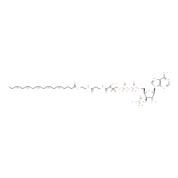 ChemSpider 2D Image | S-{(9R)-1-[(2R,3R,5R)-5-(6-Amino-9H-purin-9-yl)-4-hydroxy-3-(phosphonooxy)tetrahydro-2-furanyl]-3,5,9-trihydroxy-8,8-dimethyl-3,5-dioxido-10,14-dioxo-2,4,6-trioxa-11,15-diaza-3lambda~5~,5lambda~5~-dip
hosphaheptadecan-17-yl} (5Z,8Z,11Z,14Z,17Z)-5,8,11,14,17-icosapentaenethioate (non-preferred name) | C41H64N7O17P3S