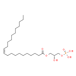 ChemSpider 2D Image | (2R)-2-Hydroxy-3-(phosphonooxy)propyl (11Z)-11-docosenoate | C25H49O7P