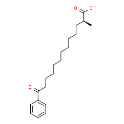 ChemSpider 2D Image | (2S)-2-Methyl-13-oxo-13-phenyltridecanoate | C20H29O3