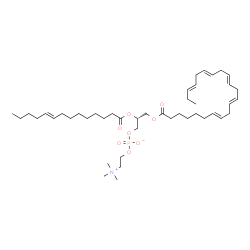 ChemSpider 2D Image | (2R)-3-[(7E,10E,13E,16E,19E)-7,10,13,16,19-Docosapentaenoyloxy]-2-[(9E)-9-tetradecenoyloxy]propyl 2-(trimethylammonio)ethyl phosphate | C44H76NO8P