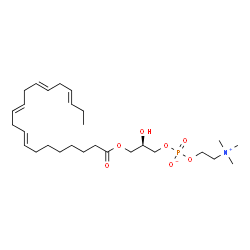 ChemSpider 2D Image | (2R)-2-Hydroxy-3-[(8E,11E,14E,17E)-8,11,14,17-icosatetraenoyloxy]propyl 2-(trimethylammonio)ethyl phosphate | C28H50NO7P