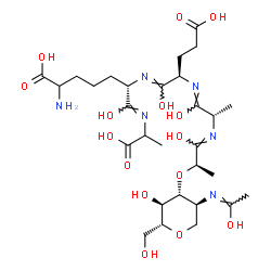 ChemSpider 2D Image | 3-O-[(3Z,5S,6Z,8R,9Z,11S,12Z,14R)-5-(4-Amino-4-carboxybutyl)-2-carboxy-8-(2-carboxyethyl)-4,7,10,13-tetrahydroxy-11-methyl-3,6,9,12-tetraazapentadeca-3,6,9,12-tetraen-14-yl]-1,5-anhydro-2-deoxy-2-[(Z)
-(1-hydroxyethylidene)amino]-D-glucitol | C29H48N6O15