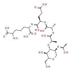 ChemSpider 2D Image | 3-O-[(1Z,2R)-1-{[(1Z,2S)-1-{[(1Z,2R)-1-{[(1S)-5-Amino-1,5-dicarboxypentyl]imino}-4-carboxy-1-hydroxy-2-butanyl]imino}-1-hydroxy-2-propanyl]imino}-1-hydroxy-2-propanyl]-1,5-anhydro-2-deoxy-2-[(Z)-(1-hy
droxyethylidene)amino]-D-glucitol | C26H43N5O14