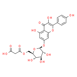 ChemSpider 2D Image | 3,5-Dihydroxy-2-(4-hydroxyphenyl)-4-oxo-4H-chromen-7-yl 6-O-(carboxyacetyl)-beta-D-glucopyranoside | C24H22O14