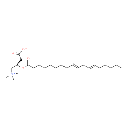 ChemSpider 2D Image | (3R)-3-[(9E,12E)-9,12-Octadecadienoyloxy]-4-(trimethylammonio)butanoate | C25H45NO4