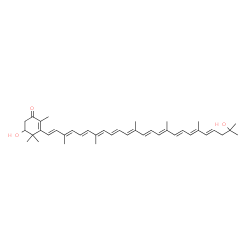 ChemSpider 2D Image | (3'E)-1',2-Dihydroxy-3',4'-didehydro-1',2'-dihydro-beta,psi-caroten-4-one | C40H54O3