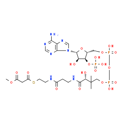 ChemSpider 2D Image | Methyl (9R)-1-[(2R,3S,4R,5R)-5-(6-amino-9H-purin-9-yl)-4-hydroxy-3-(phosphonooxy)tetrahydro-2-furanyl]-3,5,9-trihydroxy-8,8-dimethyl-10,14,19-trioxo-2,4,6-trioxa-18-thia-11,15-diaza-3,5-diphosphahenic
osan-21-oate 3,5-dioxide (non-preferred name) | C25H40N7O19P3S
