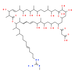 ChemSpider 2D Image | 3-Oxo-3-({(1R,3S,5R,7S,8S,9S,10Z,14S,15R,18S,19S,22R,23S,25R,26S,27S,30R,31S,33R,34S,35S)-5,7,9,19,23,25,27,31,33,34,35-undecahydroxy-8,14,18,22,26,30-hexamethyl-15-[(2S,4S,8E)-4-methyl-12-(N''-methyl
carbamimidamido)-8-dodecen-2-yl]-17-oxo-16,37-dioxabicyclo[31.3.1]heptatriaconta-10,12,20-trien-3-yl}oxy)propanoic acid | C59H103N3O18