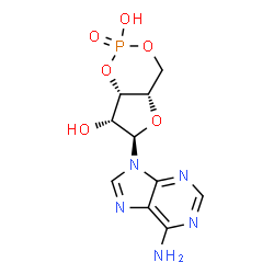 ChemSpider 2D Image | (4aS,6R,7R,7aS)-6-(6-Amino-9H-purin-9-yl)tetrahydro-4H-furo[3,2-d][1,3,2]dioxaphosphinine-2,7-diol 2-oxide | C10H12N5O6P