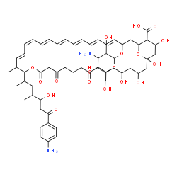 ChemSpider 2D Image | (1R,3S,5S,7S,17S,18S,21E,23E,25E,27E,29E,31E,33R,35R,36S,37S)-33-[(3-Amino-3,6-dideoxy-alpha-D-mannopyranosyl)oxy]-17-[(2R,4S,5R)-7-(4-aminophenyl)-5-hydroxy-4-methyl-7-oxo-2-heptanyl]-1,3,5,7,37-pent
ahydroxy-18-methyl-9,13,15-trioxo-16,39-dioxabicyclo[33.3.1]nonatriaconta-19,21,23,25,27,29,31-heptaene-36-carboxylic acid | C59H84N2O18