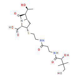 ChemSpider 2D Image | (2S,3S,5S,6R)-3-{[2-({N-[(2R)-2,4-Dihydroxy-3,3-dimethylbutanoyl]-beta-alanyl}amino)ethyl]sulfanyl}-6-[(1S)-1-hydroxyethyl]-7-oxo-1-azabicyclo[3.2.0]heptane-2-carboxylic acid | C20H33N3O8S