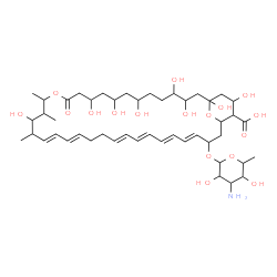 ChemSpider 2D Image | (1R,3R,4R,7R,9R,11S,15S,16R,17R,18S,19E,21E,25E,27E,29E,31E,33R,35S,36R,37S)-33-[(3-Amino-3,6-dideoxy-beta-D-mannopyranosyl)oxy]-1,3,4,7,9,11,17,37-octahydroxy-15,16,18-trimethyl-13-oxo-14,39-dioxabic
yclo[33.3.1]nonatriaconta-19,21,25,27,29,31-hexaene-36-carboxylic acid | C47H75NO17