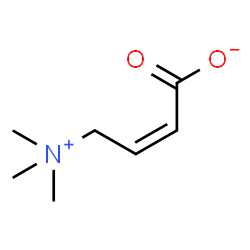 ChemSpider 2D Image | (2Z)-4-(Trimethylammonio)-2-butenoate | C7H13NO2