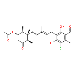 ChemSpider 2D Image | (1S,2S,3S,4R)-3-[(1E,3E)-5-(3-Chloro-5-formyl-2,6-dihydroxy-4-methylphenyl)-3-methyl-1,3-pentadien-1-yl]-2,3,4-trimethyl-5-oxocyclohexyl acetate | C25H31ClO6