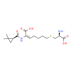 ChemSpider 2D Image | (2E)-7-{[(2S)-2-Amino-2-carboxyethyl]sulfanyl}-2-({[(1S)-2,2-dimethylcyclopropyl]carbonyl}amino)-2-heptenoic acid | C16H26N2O5S