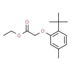 ChemSpider 2D Image | Ethyl (2-tert-butyl-5-methylphenoxy)acetate | C15H22O3