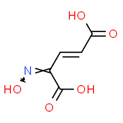 ChemSpider 2D Image | (2E,4Z)-4-(Hydroxyimino)-2-pentenedioic acid | C5H5NO5