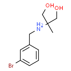 ChemSpider 2D Image | N-(3-Bromobenzyl)-1,3-dihydroxy-2-methyl-2-propanaminium | C11H17BrNO2