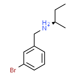 ChemSpider 2D Image | (2S)-N-(3-Bromobenzyl)-2-butanaminium | C11H17BrN