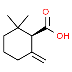 ChemSpider 2D Image | (1R)-2,2-Dimethyl-6-methylenecyclohexanecarboxylic acid | C10H16O2