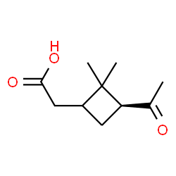 ChemSpider 2D Image | [(3S)-3-Acetyl-2,2-dimethylcyclobutyl]acetic acid | C10H16O3