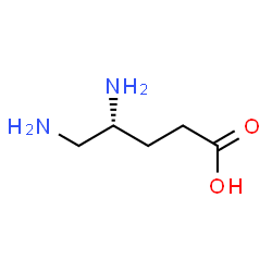 ChemSpider 2D Image | (4R)-4,5-Diaminopentanoic acid | C5H12N2O2