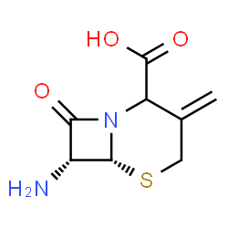 ChemSpider 2D Image | (6R,7R)-7-Amino-3-methylene-8-oxo-5-thia-1-azabicyclo[4.2.0]octane-2-carboxylic acid | C8H10N2O3S