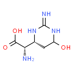 ChemSpider 2D Image | (2S)-Amino[(4R)-6-hydroxy-2-iminohexahydro-4-pyrimidinyl]acetic acid | C6H12N4O3