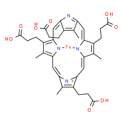 ChemSpider 2D Image | [3,3',3'',3'''-(3,8,13,17-Tetramethyl-2,7,12,18-porphyrintetrayl-kappa~2~N~22~,N~24~)tetrapropanoato(2-)]iron | C36H36FeN4O8