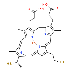 ChemSpider 2D Image | [3,3'-{3,7,12,17-Tetramethyl-8-[(1S)-1-sulfanylethyl]-13-(2-sulfanylethyl)-2,18-porphyrindiyl-kappa~2~N~21~,N~23~}dipropanoato(2-)]iron | C34H36FeN4O4S2