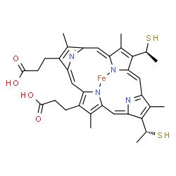 ChemSpider 2D Image | [3,3'-{3,7,12,17-Tetramethyl-13-[(1R)-1-sulfanylethyl]-8-[(1S)-1-sulfanylethyl]-2,18-porphyrindiyl-kappa~2~N~22~,N~24~}dipropanoato(2-)]iron | C34H36FeN4O4S2