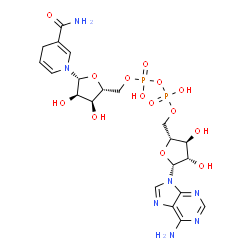 ChemSpider 2D Image | [[(2R,3S,4S,5R)-5-(6-aminopurin-9-yl)-3,4-dihydroxy-tetrahydrofuran-2-yl]methoxy-hydroxy-phosphoryl] [(2R,3S,4R,5R)-5-(3-carbamoyl-4H-pyridin-1-yl)-3,4-dihydroxy-tetrahydrofuran-2-yl]methyl hydrogen phosphate | C21H29N7O14P2