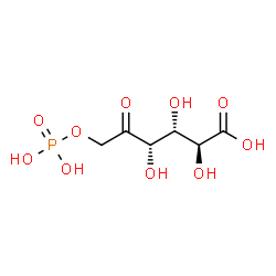 ChemSpider 2D Image | 6-O-Phosphono-D-lyxo-hex-5-ulosonic acid | C6H11O10P