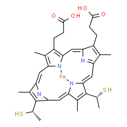 ChemSpider 2D Image | [3,3'-{3,7,12,17-Tetramethyl-13-[(1R)-1-sulfanylethyl]-8-[(1S)-1-sulfanylethyl]-2,18-porphyrindiyl-kappa~2~N~21~,N~23~}dipropanoato(2-)]iron | C34H36FeN4O4S2