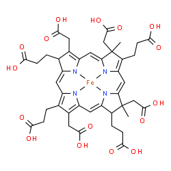 ChemSpider 2D Image | {3,3',3'',3'''-[(7S,8S,13S,18R)-3,8,13,17-Tetrakis(carboxymethyl)-8,13-dimethyl-7,8,13,18,22,24-hexahydroporphyrin-2,7,12,18-tetrayl-kappa~4~N~21~,N~22~,N~23~,N~24~]tetrapropanoato(4-)}iron | C42H44FeN4O16